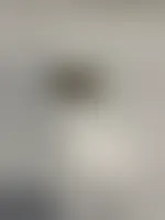 ImprintNow.co.nz