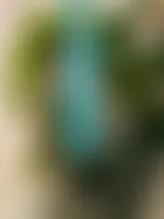 ImprintNow.co.nz