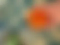 ImprintNow.co.nz