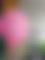 ImprintNow.co.nz