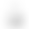 Cool White - Imprint Now - NZ