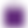 Plum - Imprint Now - NZ