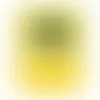 YELLOW - Imprint Now - NZ