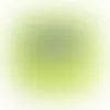 Lime Green - Imprint Now - NZ