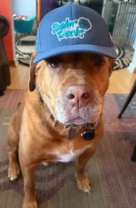 ImprintNow.co.nz - Full Color TPU