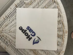 ImprintNow.co.nz - Custom Paper Luncheon Napkins