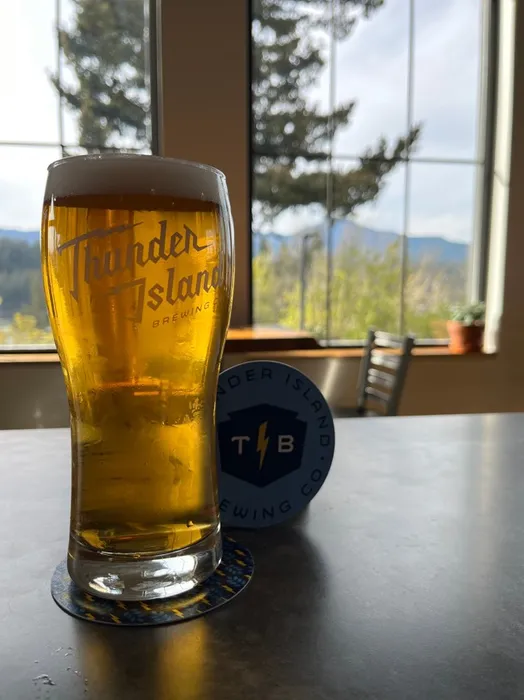 ImprintNow.co.nz - Pulpboard Coasters