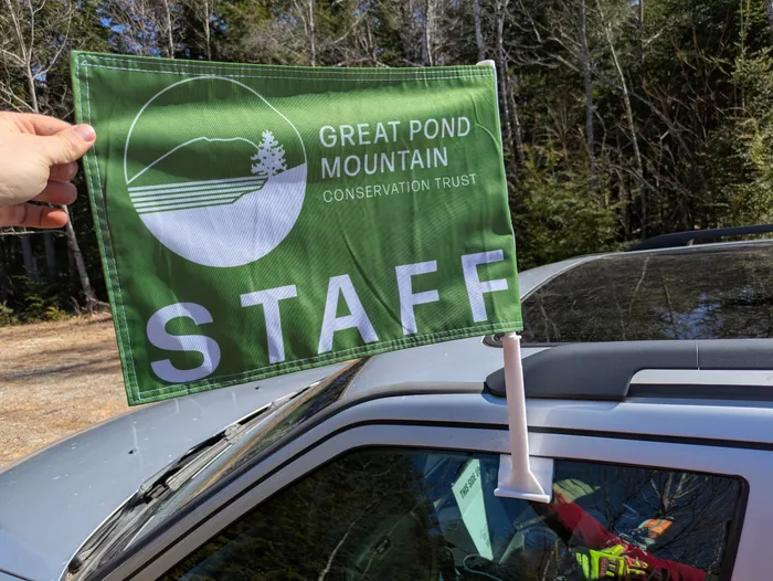 ImprintNow.co.nz - Car Flag