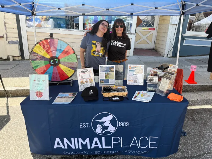 ImprintNow.co.nz - Custom Rectangle Table Covers