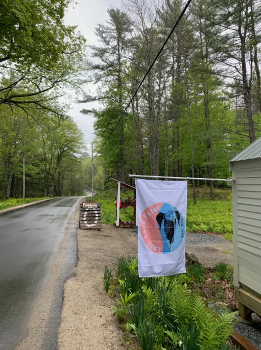 ImprintNow.co.nz - Rectangle Flag