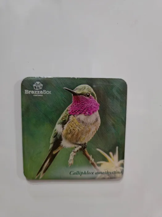 ImprintNow.co.nz - Square Magnets