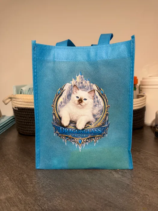 ImprintNow.co.nz - Custom Small Gift Tote Bag