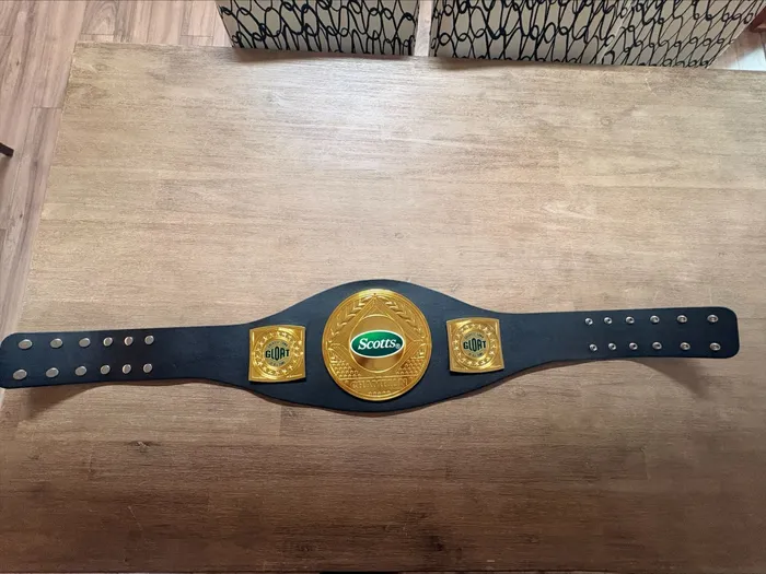 ImprintNow.co.nz - Custom Supreme Champion Belts