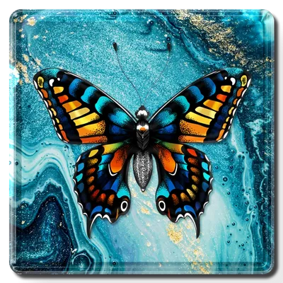 Square - Imprint Now - NZ