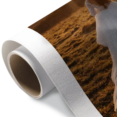 Rolled Canvas Rolled Canvas - Imprint Now - NZ