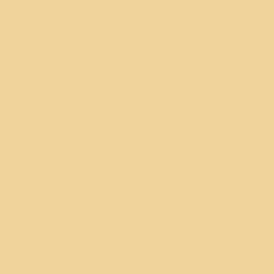 Warm White - Imprint Now - NZ