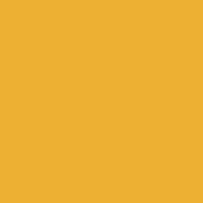 Orange - Imprint Now - NZ