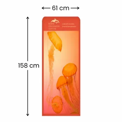 61 x 158 cm - Imprint Now - NZ