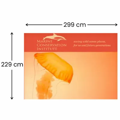 299 x 229 cm - Imprint Now - NZ