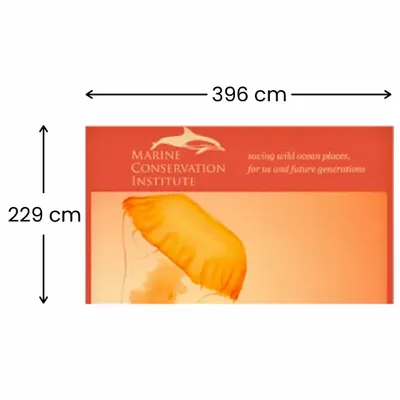 396 x 229 cm - Imprint Now - NZ