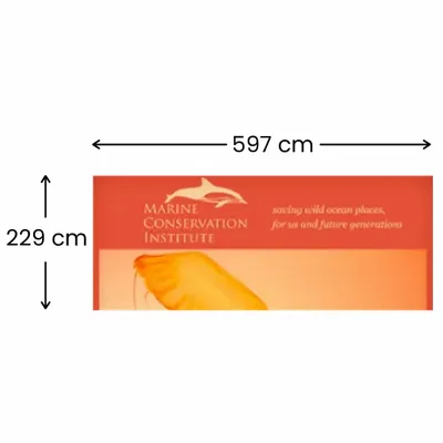 597 x 229 cm - Imprint Now - NZ