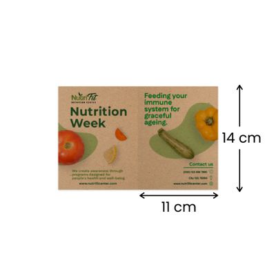 11 x 14 cm 11 x 14 cm