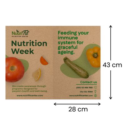 28 x 43 cm 28 x 43 cm