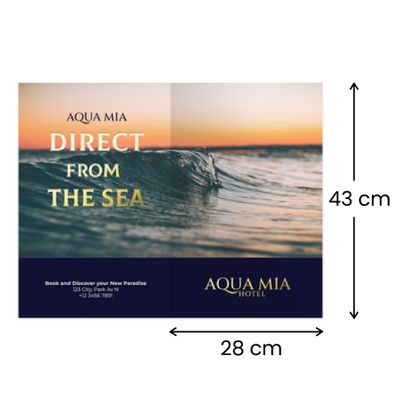 28 x 43 cm 28 x 43 cm