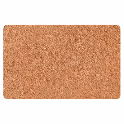 Camel Camel - Imprint Now - NZ