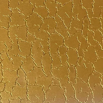 Texture 13 - Imprint Now - NZ