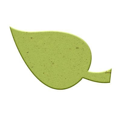 Medium Leaf