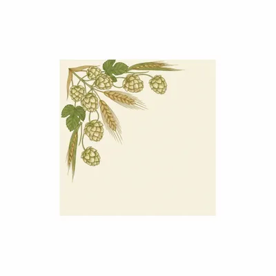 6.5 in x 6.5 in - Imprint Now - NZ