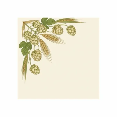 Standard - Imprint Now - NZ