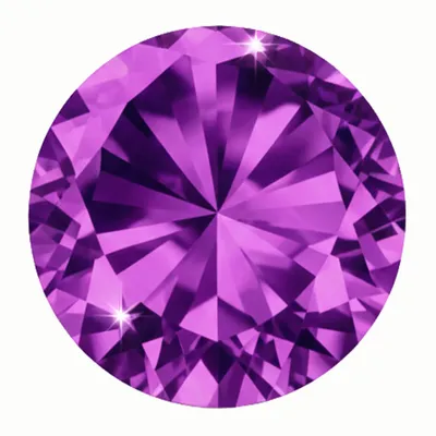 False Fuchsia - Imprint Now - NZ