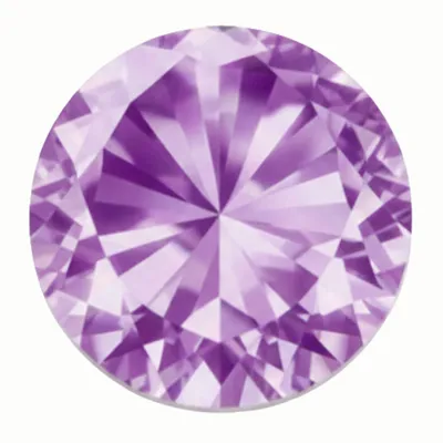 False Light Rose - Imprint Now - NZ