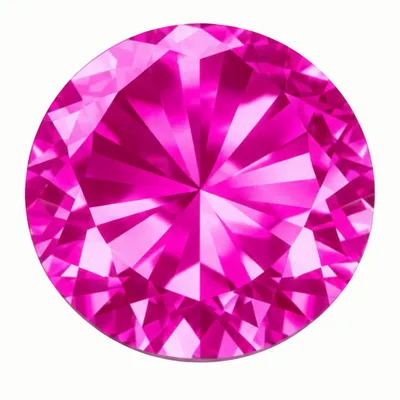 False Rose - Imprint Now - NZ