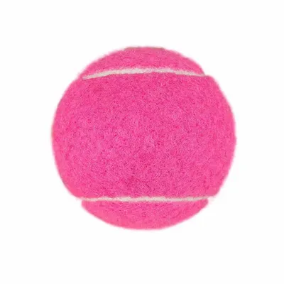 Fuchsia - Imprint Now - NZ