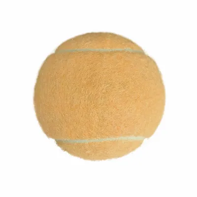 Rice Orange - Imprint Now - NZ