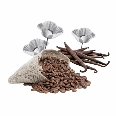 Black Opium - Imprint Now - NZ