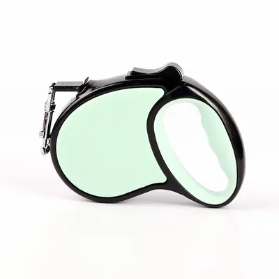 Mint Green - Imprint Now - NZ