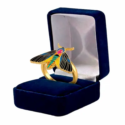 Blue Velvet Box - Imprint Now - NZ