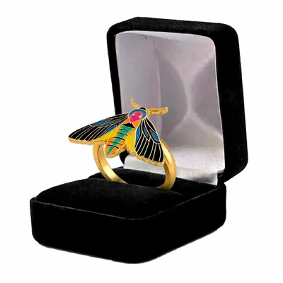 Black Velvet Box - Imprint Now - NZ