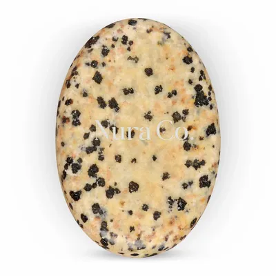 Dalmatian - Imprint Now - NZ