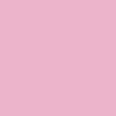 Light Pink - Imprint Now - NZ