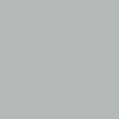 Light Grey - Imprint Now - NZ
