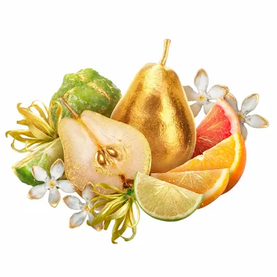Golden Adore - Imprint Now - NZ