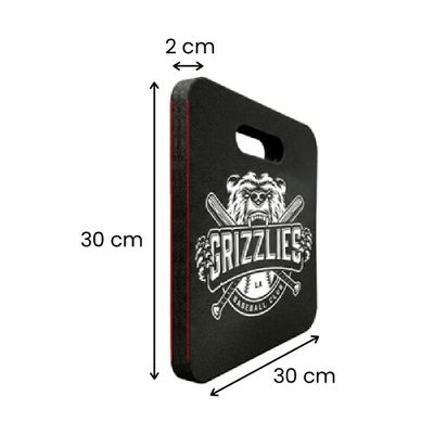 30 cm W × 30 cm H x 2 cm
