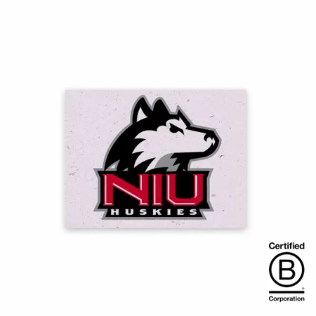 Seed Paper Panel Cards - Imprint Now - NZ