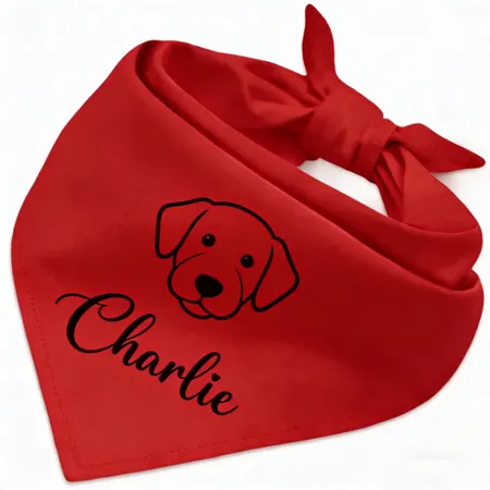 Pet Supplies - Imprint Now - NZ