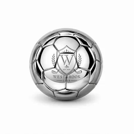 Soccer Ball Stainless Steel Ice Cubes - Imprint Now - NZ